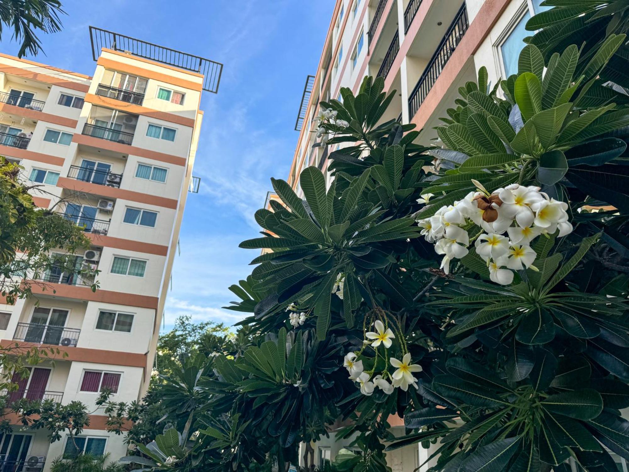 卧室直达泳池 全网最低价 到中天海滩5分钟 Jomtien Beach Extérieur photo