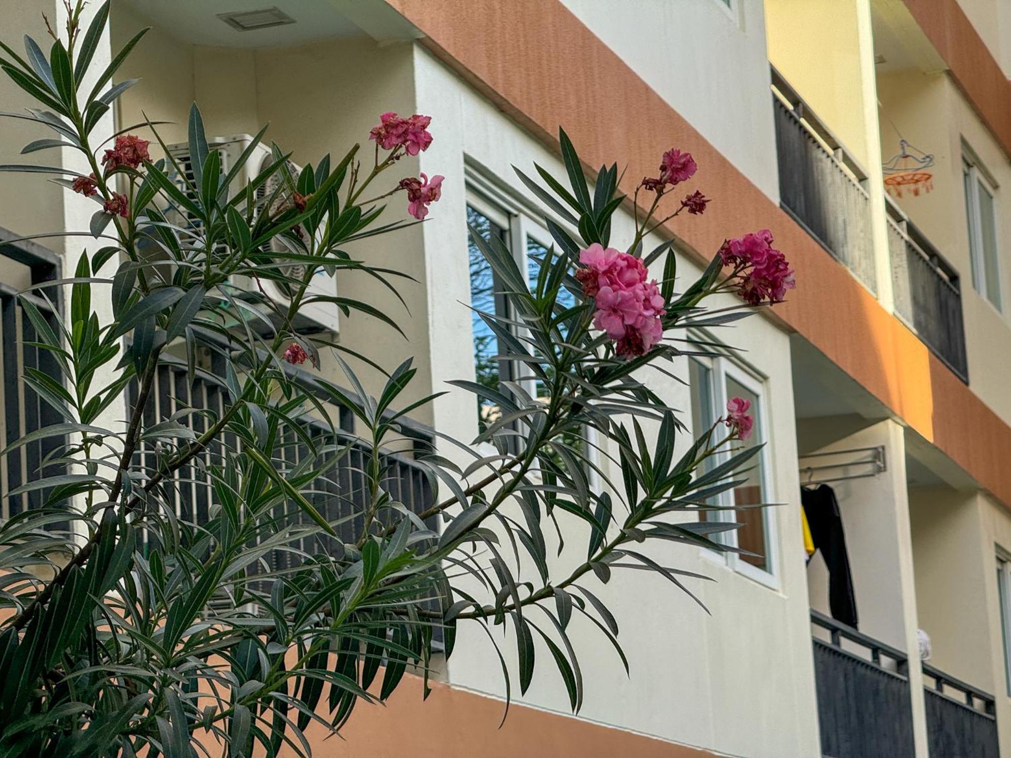 卧室直达泳池 全网最低价 到中天海滩5分钟 Jomtien Beach Extérieur photo